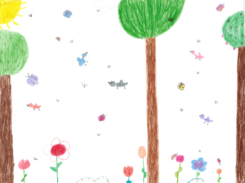 Trees Feb 29 2016